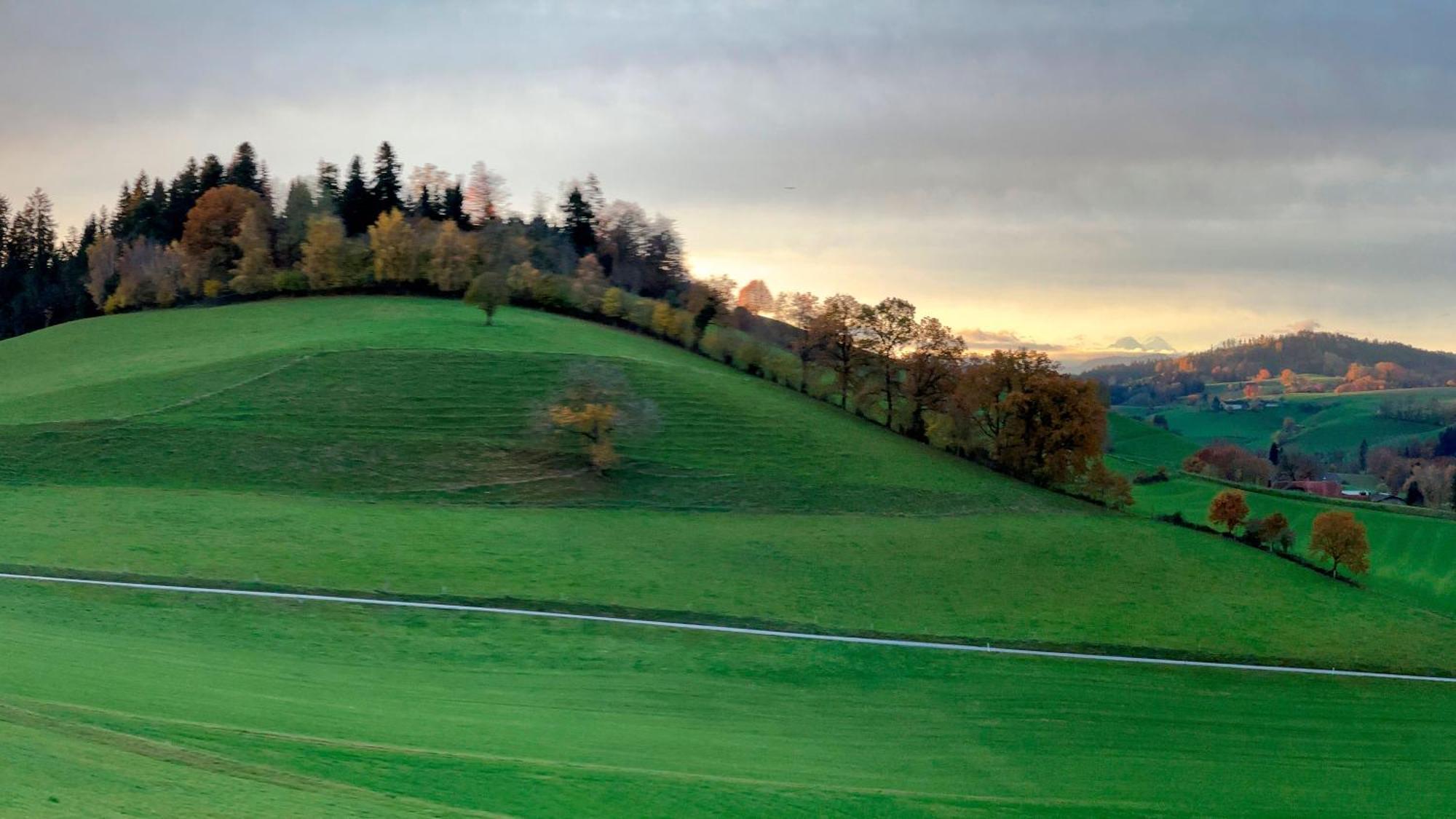 Pfaffnau Berghof Erlebnis Ag B&B 외부 사진